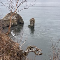 Фото отзыва 6: экскурсия "Камчатка: путешествие на край Евразии (из Петропавловска)"