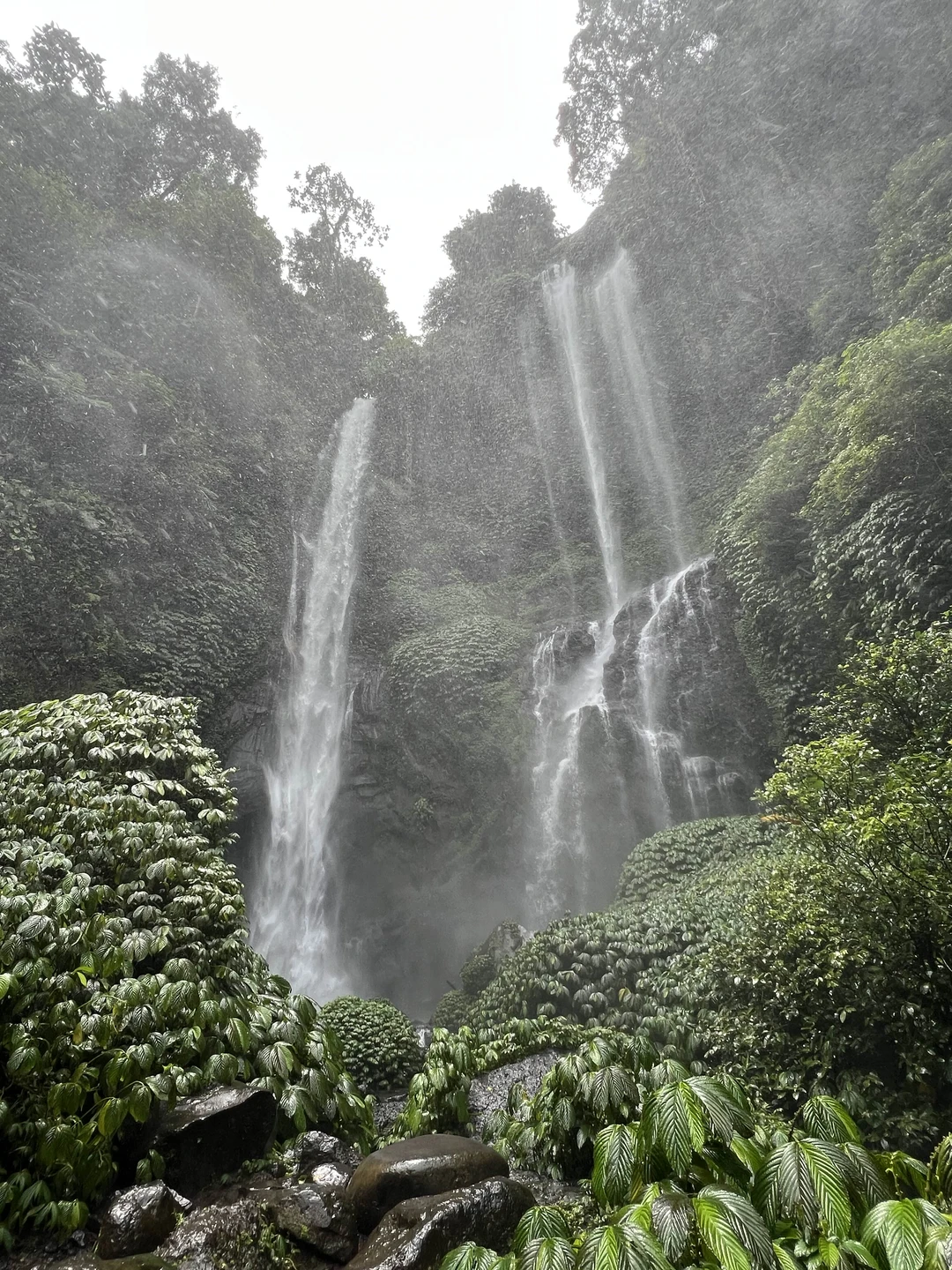 Великолепная экскурсия!