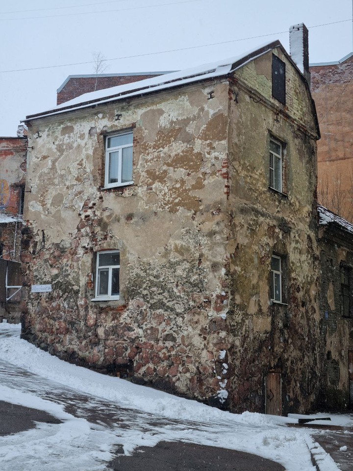 Влюбиться в Выборг за 2 часа (Елена)