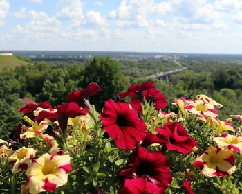 Экскурсия по Владимиру и церковь Покрова на Нерли