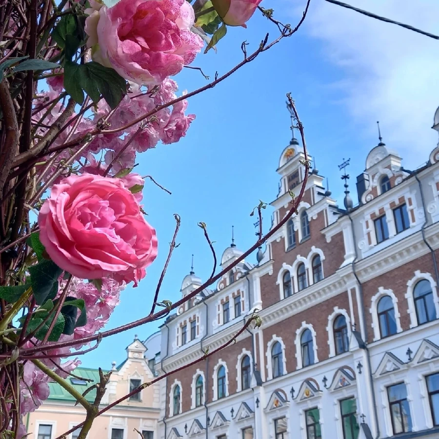 Весь Выборг за один день — на «Ласточке» из Санкт-Петербурга