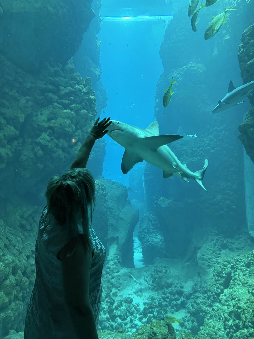 Спасибо большое Муслиму за прекрасную экскурсию! Организация на высоте, все билеты приобретались заранее без очередей и