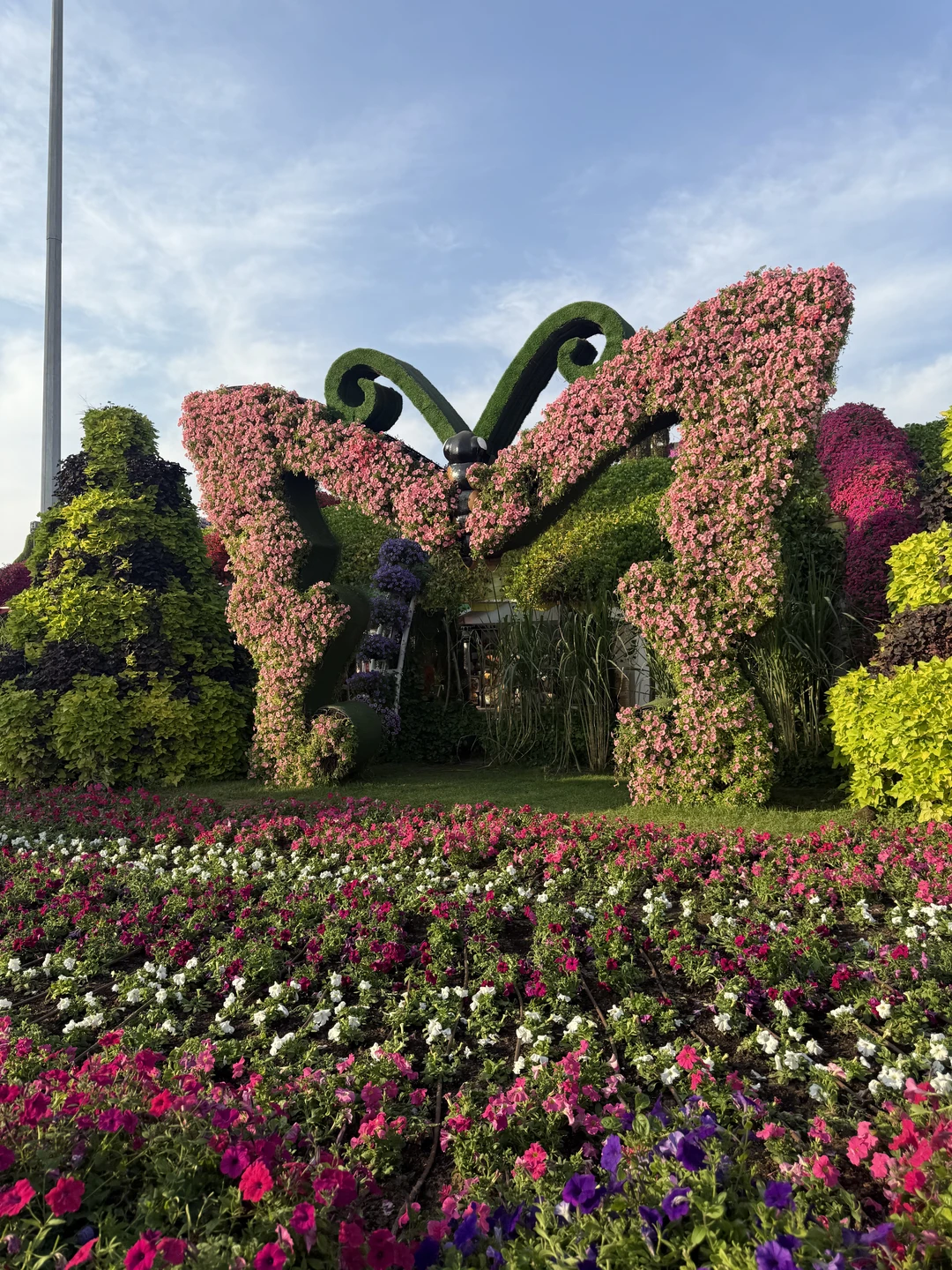 Нам оооочень понравилось! Отличный водитель, машина новая, комфортная! Вай фай в машине есть, ехал спокойно, ребенок