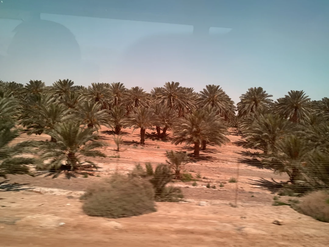 Добрый вечер! Благодарю Валида за отличную экскурсию!