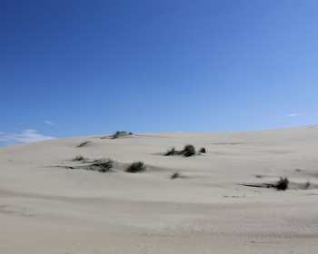 Куршская коса, Зеленоградск, Светлогорск и Янтарный