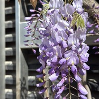 Фото отзыва 5: экскурсия "По&nbsp;парку Галицкого&nbsp;— в&nbsp;мини-группе"