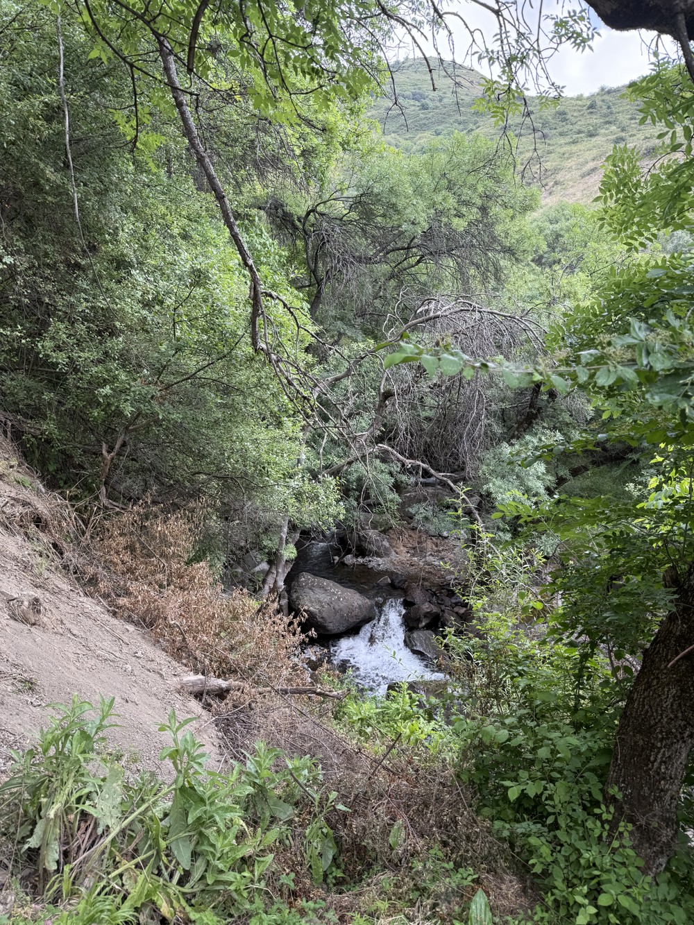 В Хосровский заповедник — из Еревана (9/11)