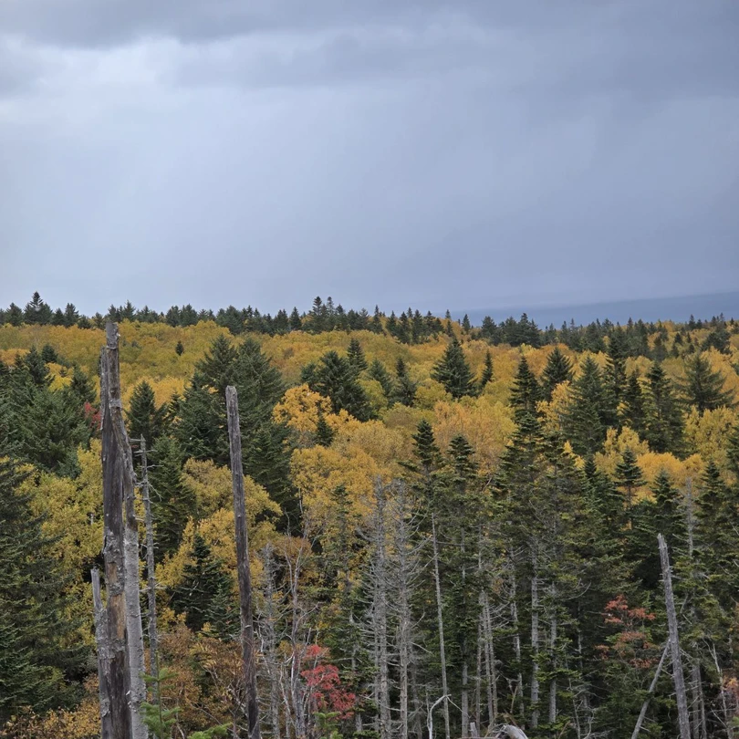 Огромное спасибо гиду Анатолию за прекрасно проведенную экскурсию. На янтарном пляже нас ждал большой сюрприз в