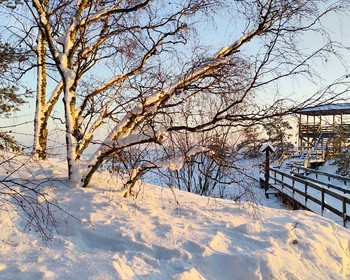 Куршская коса и Зеленоградск