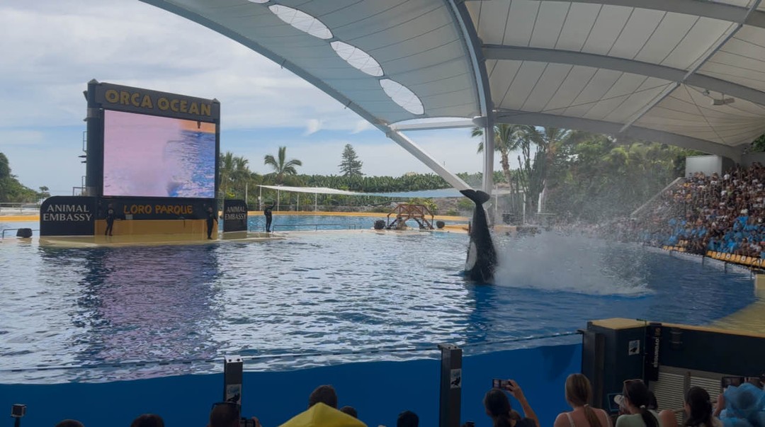 Отличная экскурсия с Александром!