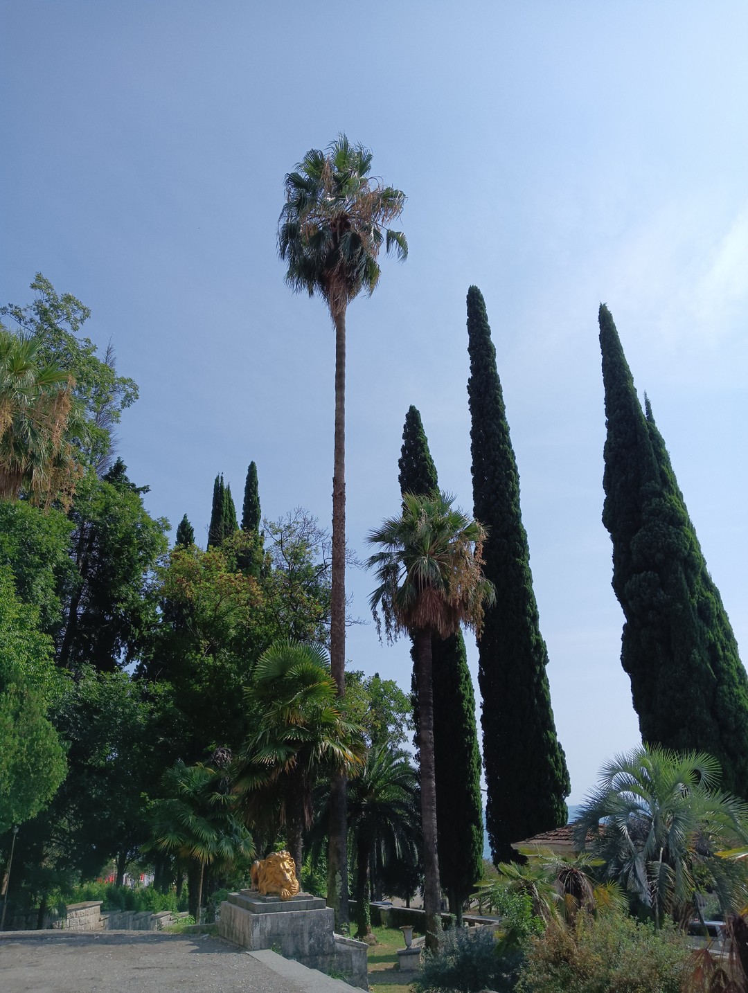 Чудесное путешествие, красивые виды и море. Спасибо за отличный день и солнечные эмоции.