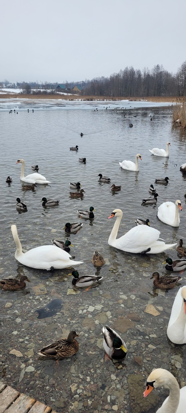 Очень понравилась экскурсия. Удобное время. Познавательно. Легкая подача информации. Хорошо распланированы свободные минуты. Опытный экскурсовад, обаятельная