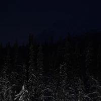 Фото отзыва 3: экскурсия "Секреты снежных вершин: из Мурманска — в Кировск и Хибины"