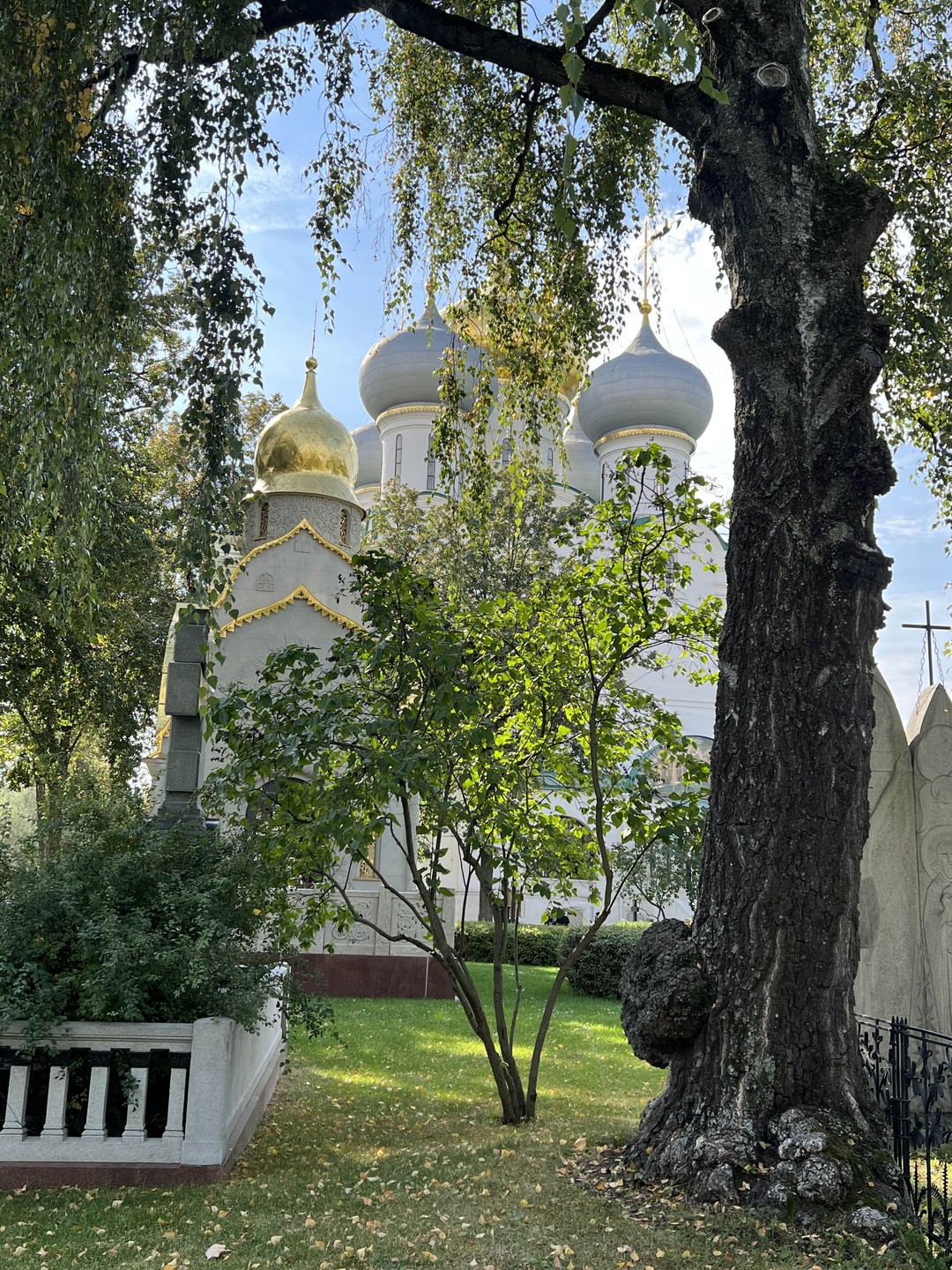 Новодевичий монастырь и Новодевичье кладбище (Анна)