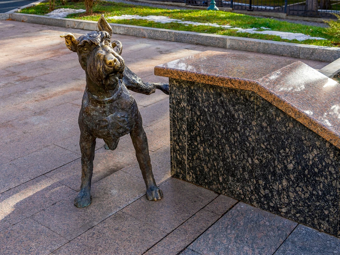 Писающий пёс