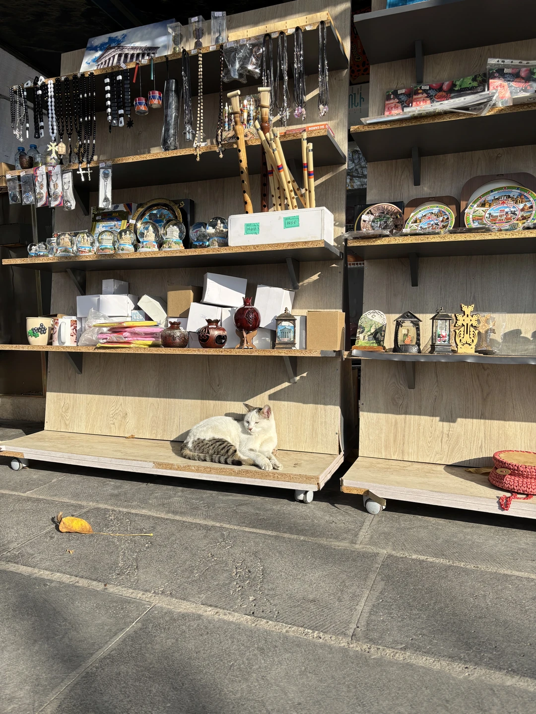 Все прошло отлично. Гид Даниэль провел для нас отличную экскурсию, рассказал очень много интересных фактов об