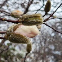 Фото отзыва 2: экскурсия "Шемаха, Габала, Шеки и Киш: индивидуальный тур по Азербайджану"