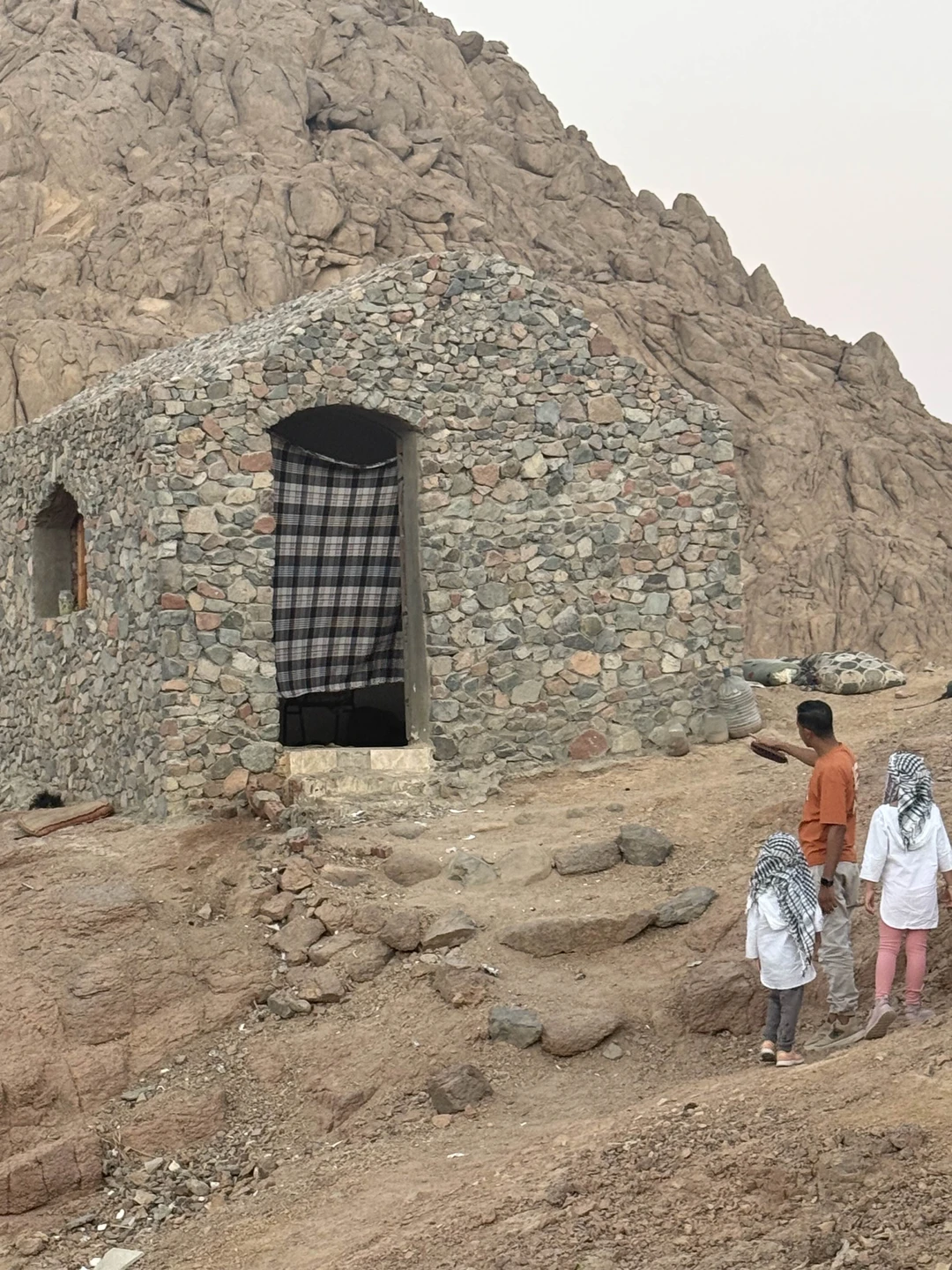 Индивидуальное сафари на верблюдах к Синайским горам и бедуинам (Дарья)