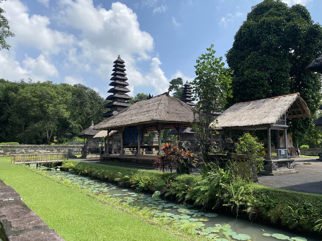 На экскурсию ездили с Балийским гидом, который представился - Андрей) Экскурсия была индивидуальной. Гид очень понравился