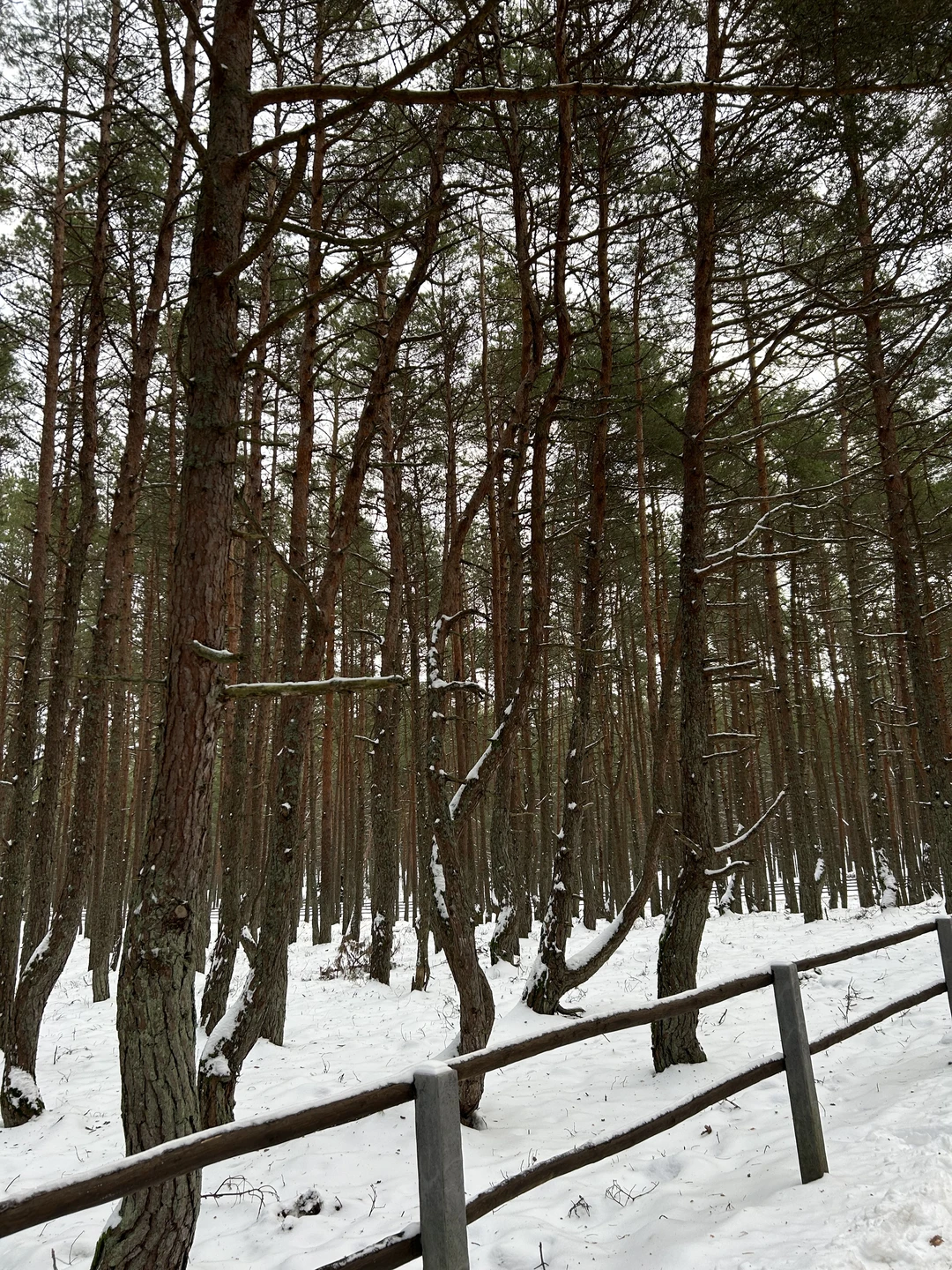 Спасибо экскурсоводу Ирине❤️ очень интересно, на все вопросы отвечала, хороший юмор 😊 Понравилось всё. Я сомневалась