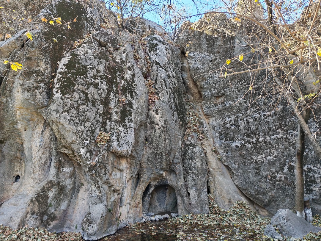 Благодарим Рахата за прекрасный день в горах Узбекистана. Было очень интересно, приятно и комфортно. Сама программа