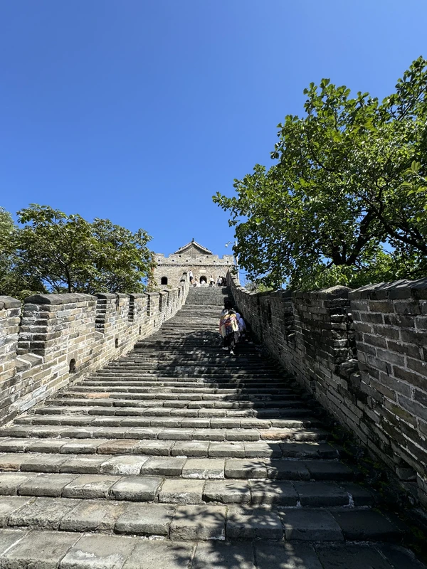 Великая китайская стена и чайная церемония (в Пекине)