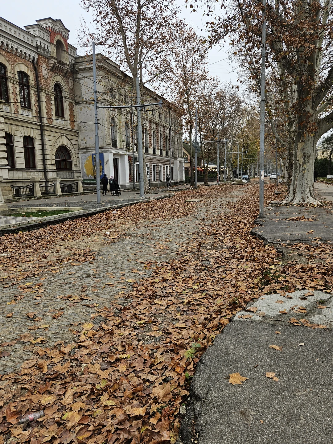 Инна встретила нас в сквере Михая Еминеску и оттуда на протяжении 3 часов пешой прогулки по