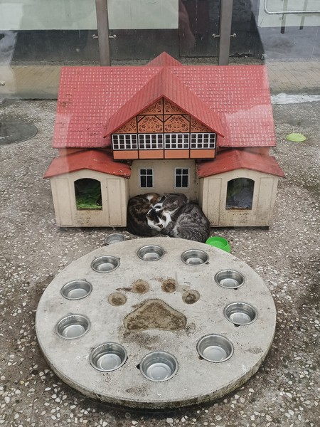 Мне понравилось) Это экскурсия в мини-группе и так как сейчас не сезон получилось, что я была