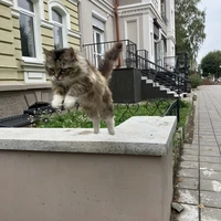 Фото отзыва 2: экскурсия "Замки Восточной Пруссии на групповой экскурсии"