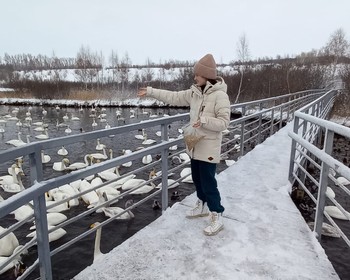 Лебединое озеро, новогодний банкет