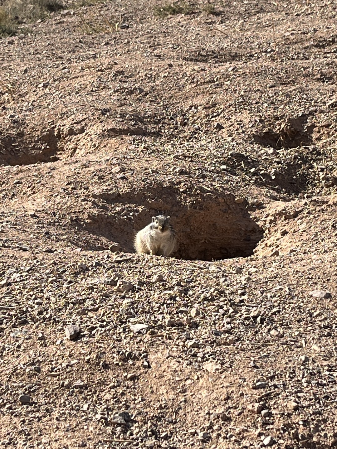 Отличное мини-путешествие по очень красивым местам Казахстана