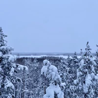 Фото отзыва 3: экскурсия "Откройте для себя Карелию"