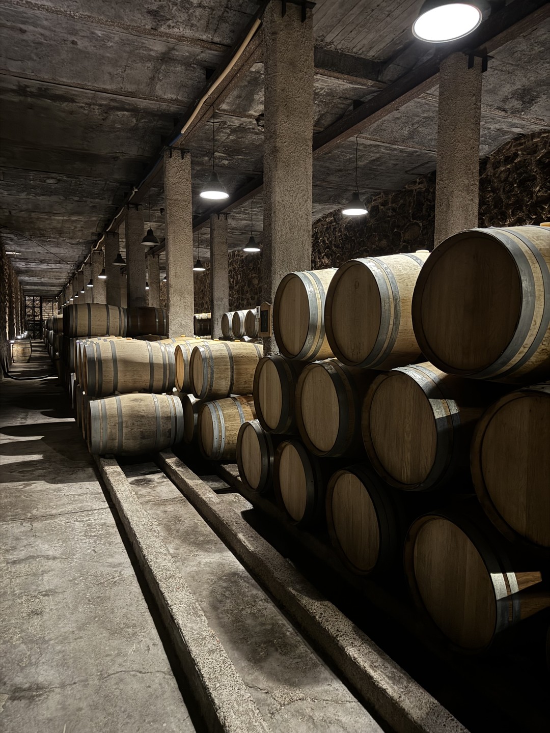 Прекрасная, очень легкая и тем не менее насыщенная экскурсия от знатока своего дела! Две разные и