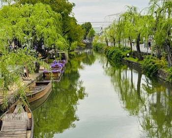 Замок «Чёрный Ворон» в Окаяме, и район Бикан в Курасики