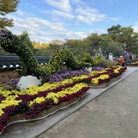 Фото отзыва 1: экскурсия "Знакомьтесь, Инчхон!"