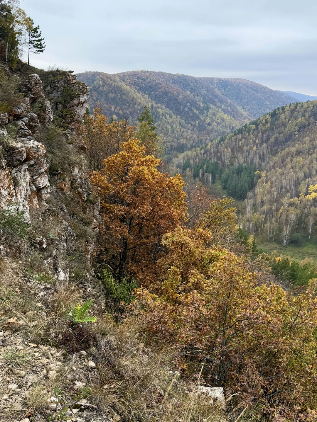 Очень приятная поездка, рекомендую. Виды красивые, дорога не утомительная