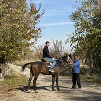 Фото отзыва 2: экскурсия "На коне — по полям и сёлам: прогулка в окрестностях Самарканда"