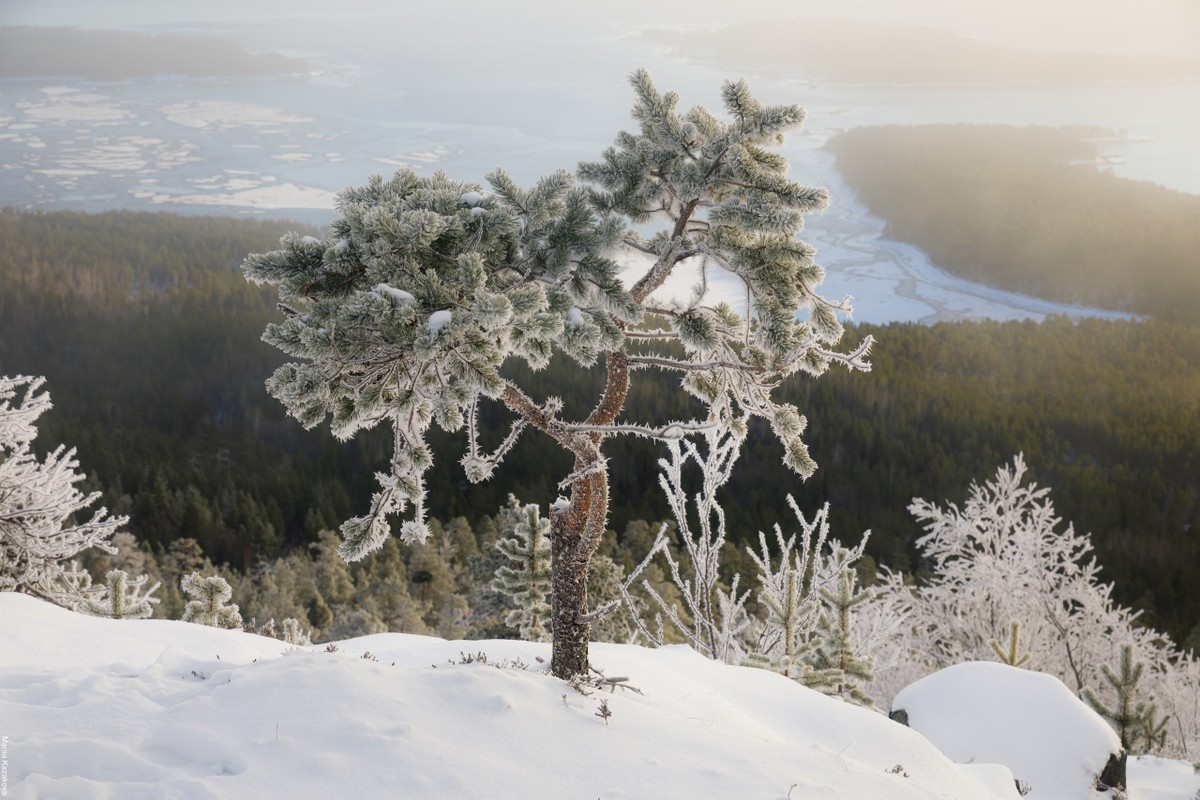 Зимний поход на гору Волосяная: снежные приключения в Кандалакше (2/8)