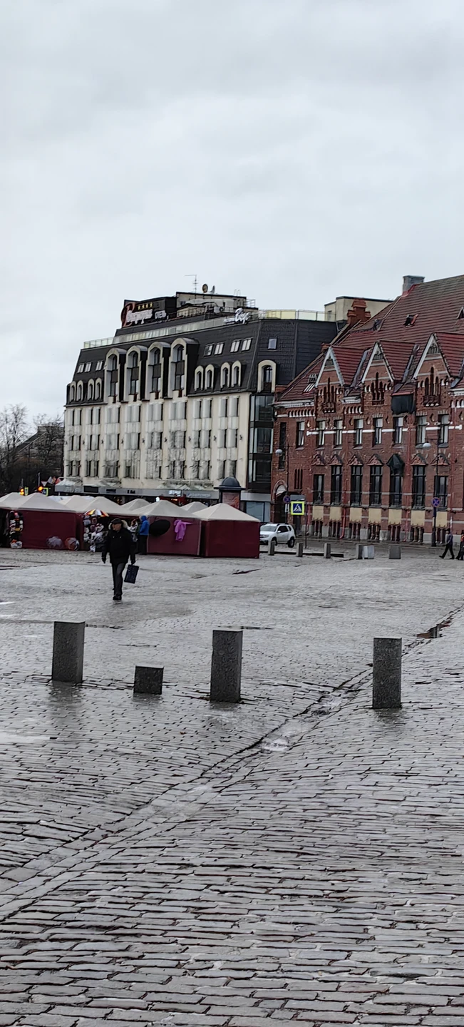 Всё очень понравилось, организация, поездка, подвела погода очень сильно
