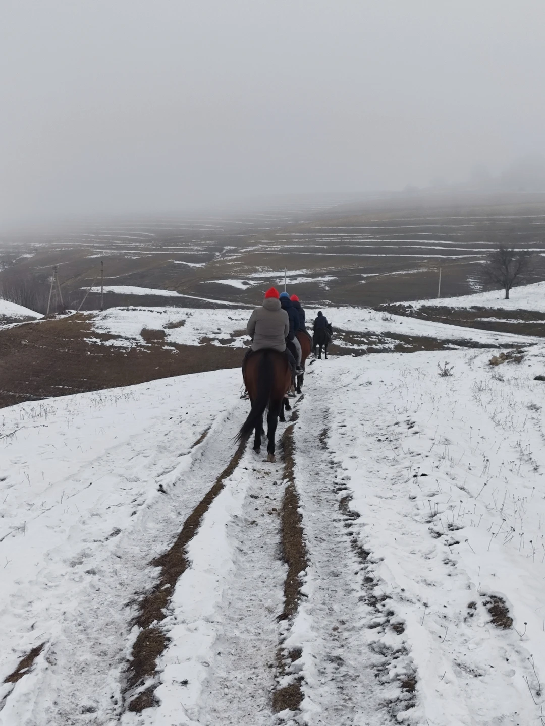 Нам очень понравилось, спокойные подготовленные лошади, красивейший маршрут, не утомительно. Отдельное спасибо организаторам - позитивные ребята