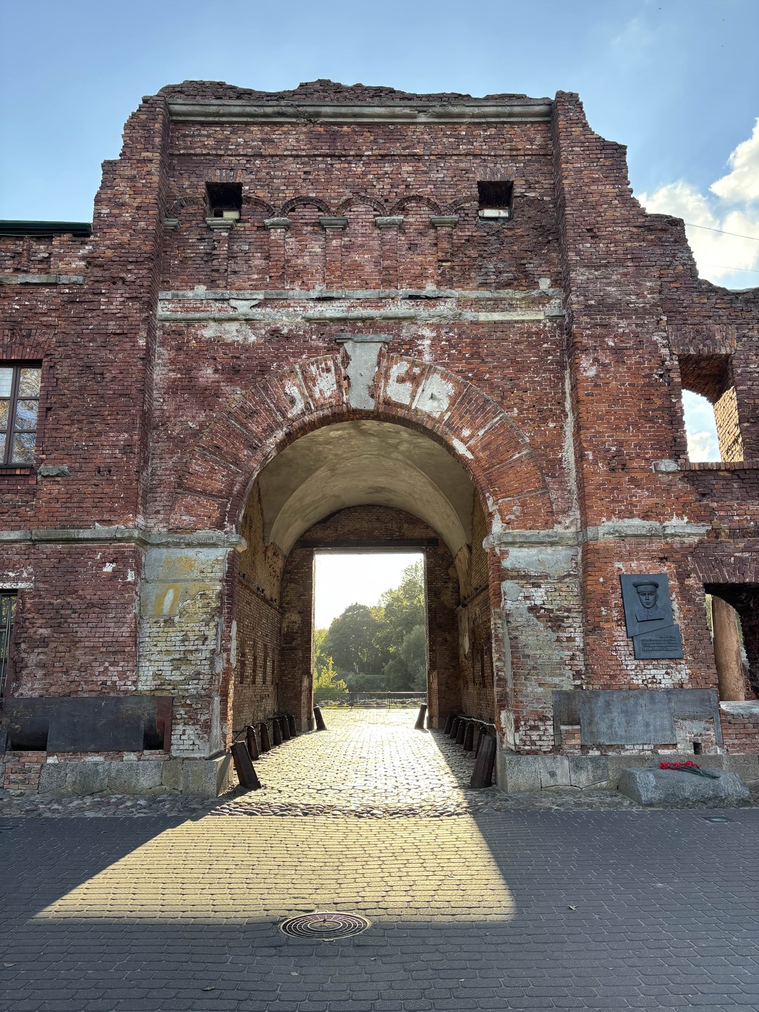Групповая экскурсия в Брест и Беловежскую пущу (Альбина)