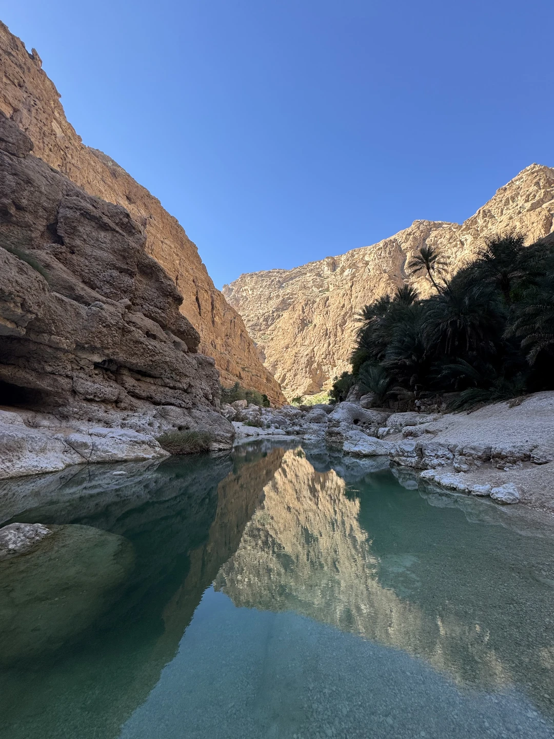 Спасибо огромное организаторам. Эмоции через край! Впечатлили захватывающие дух виды. Это яркое, динамичное и познавательное путешествие