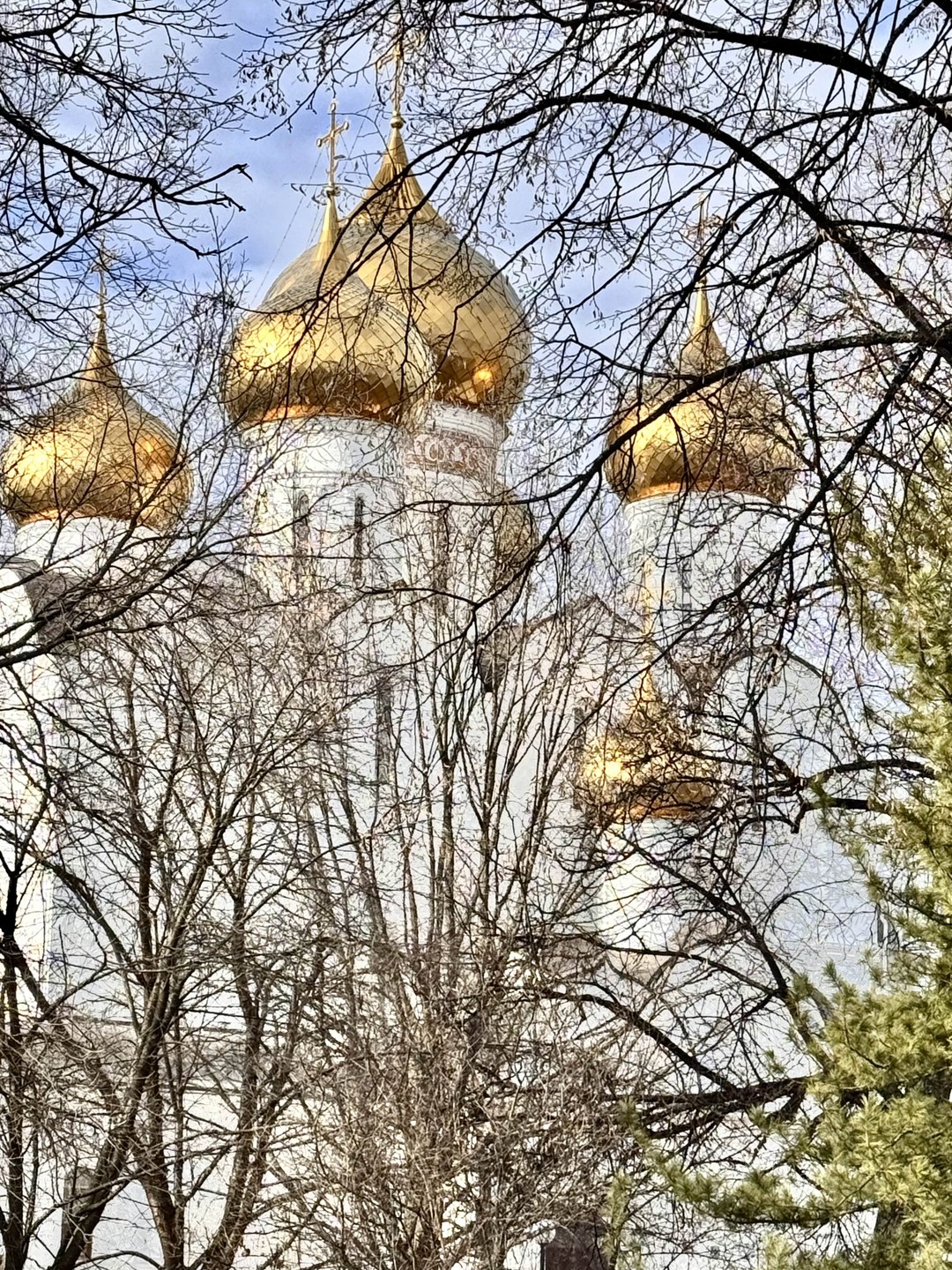 Фото отзыва 7: экскурсия "Семейная интерактивная прогулка по Ярославлю"
