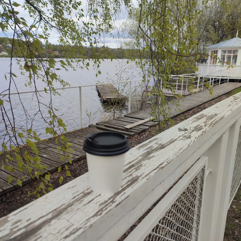 Хорошая экскурсия, я бы хотела больше времени в Плесе, но это личные предпочтения. Хороший рассказ, все