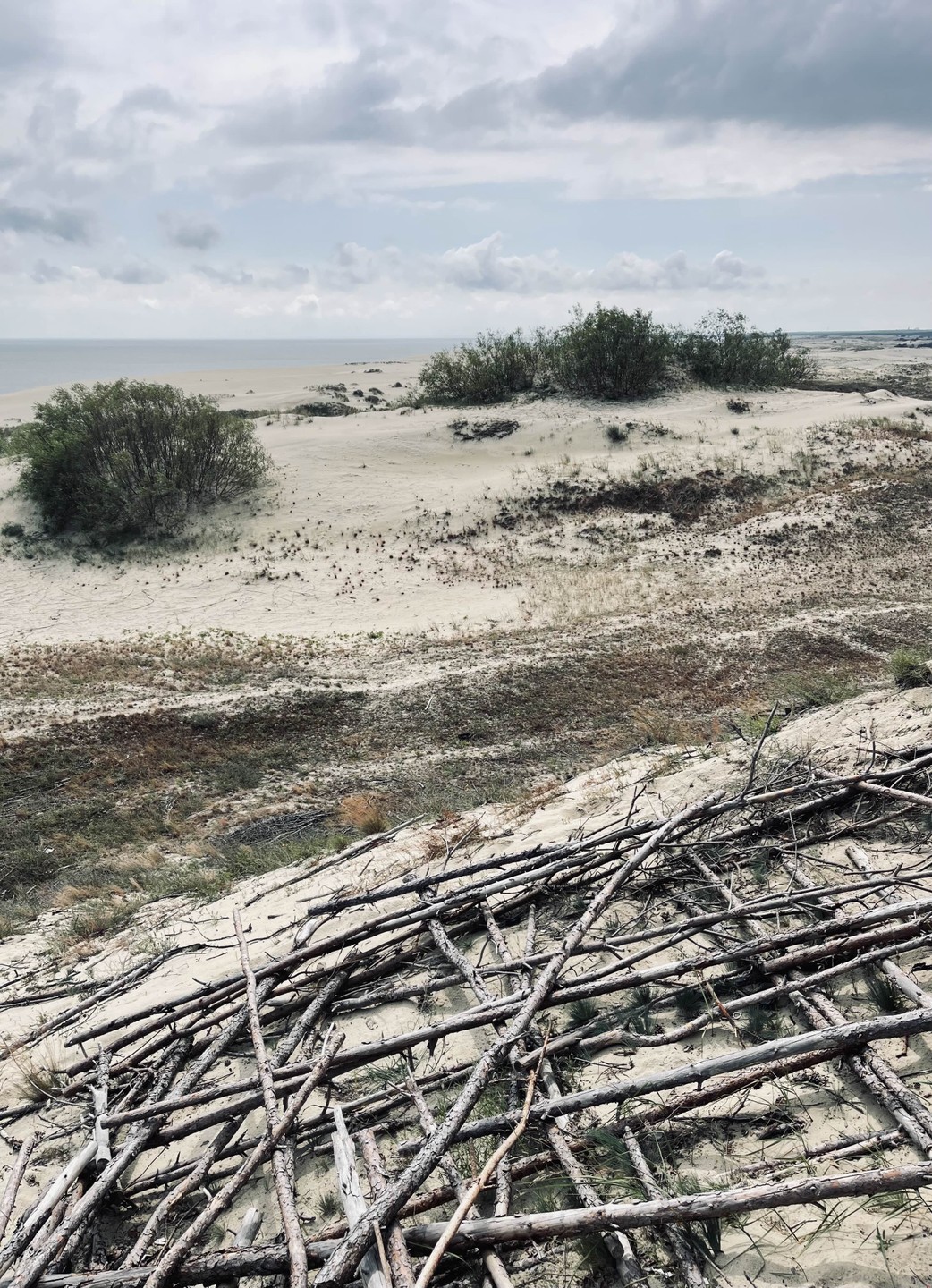 Побывать на Куршской косе - базовая поездка, пожалуй, всех приезжающих в Калининград. Потрясающий уголок ни с