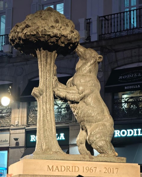 Спасибо Илье за профессиональную работу, увидели городской трафик, знаковые места Мадрида которые невозможно посетить за пару