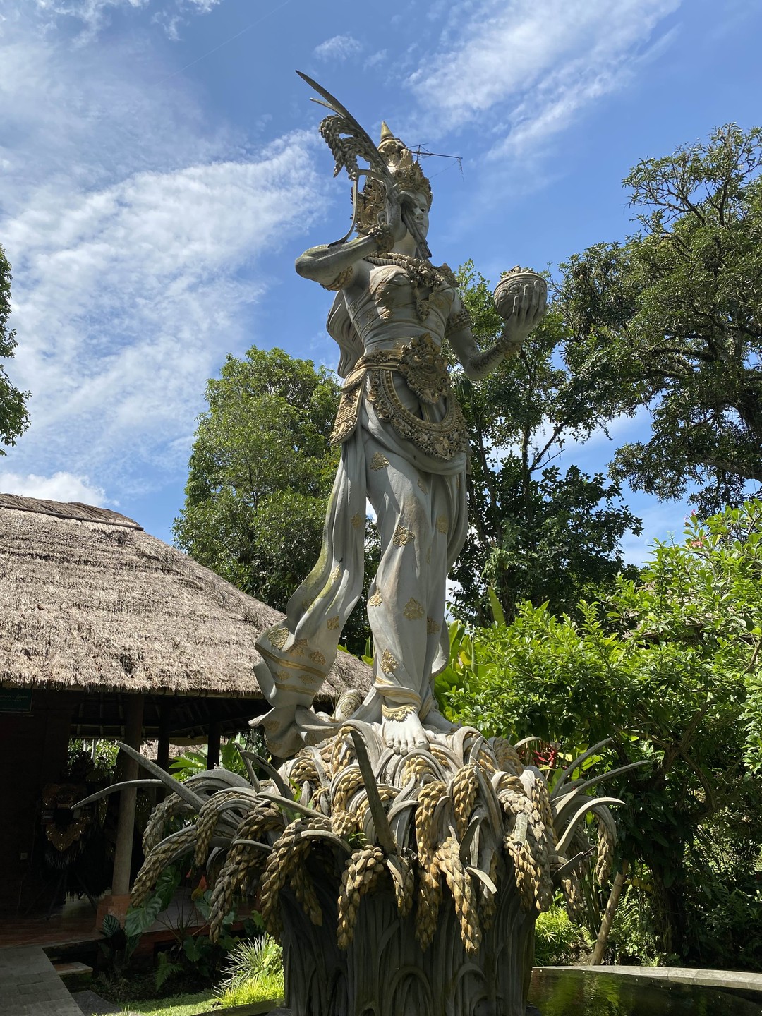 На экскурсию ездили с Балийским гидом, который представился - Андрей) Экскурсия была индивидуальной. Гид очень понравился