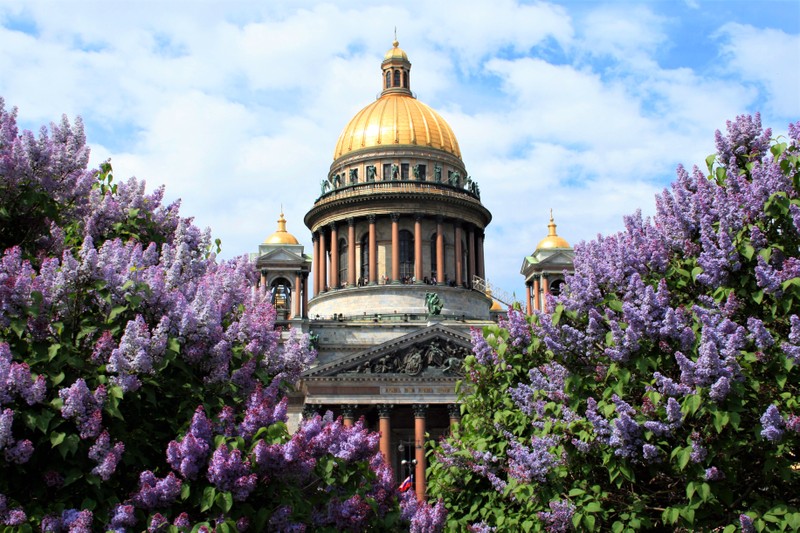 Фото к экскурсии Три площади петербургских