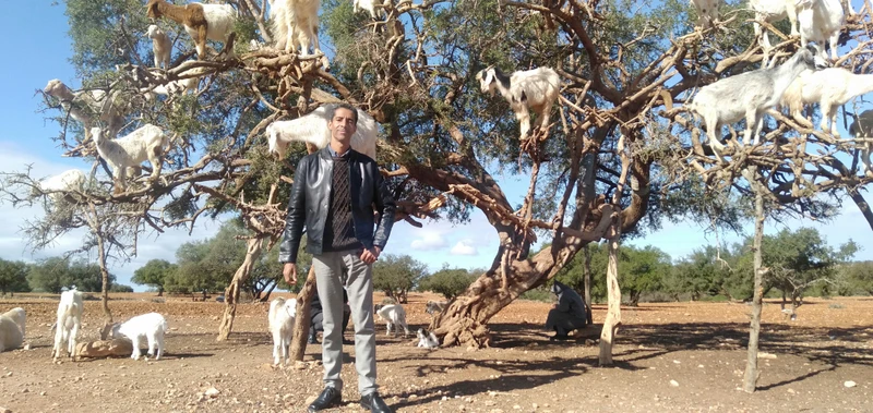 Все богатства Марракеша