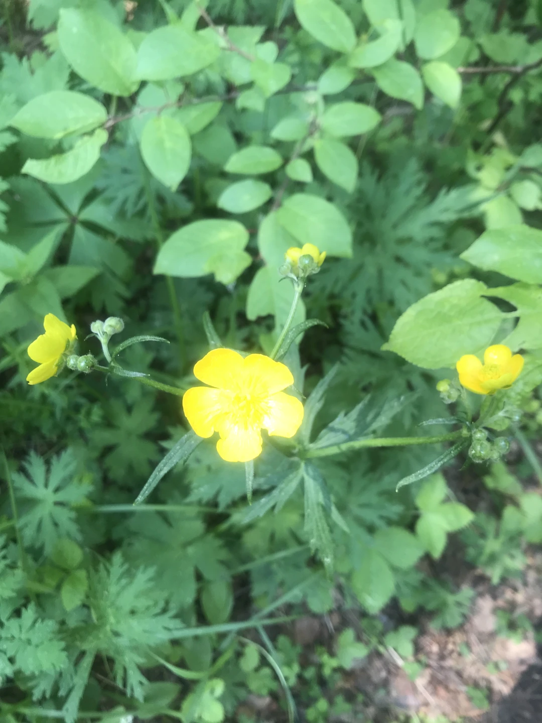 Добрый день друзья!! ☀️😊 Были потрясающие выходные на Байкале в Большом Голоустном👍🏻🥰